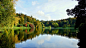 秋天,公园,树木,桥梁,池塘,湖水,风景壁纸