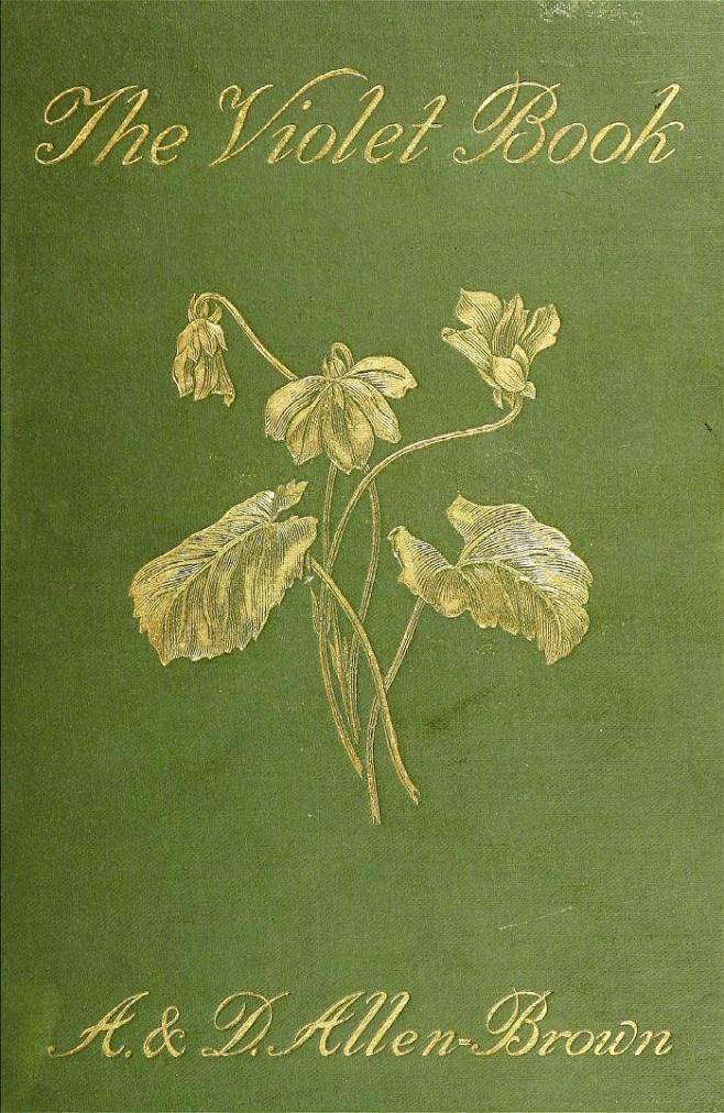 百年前古董书籍 绿色封面