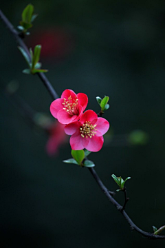 花道长采集到时光