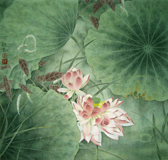 鱼子花酱采集到工笔画