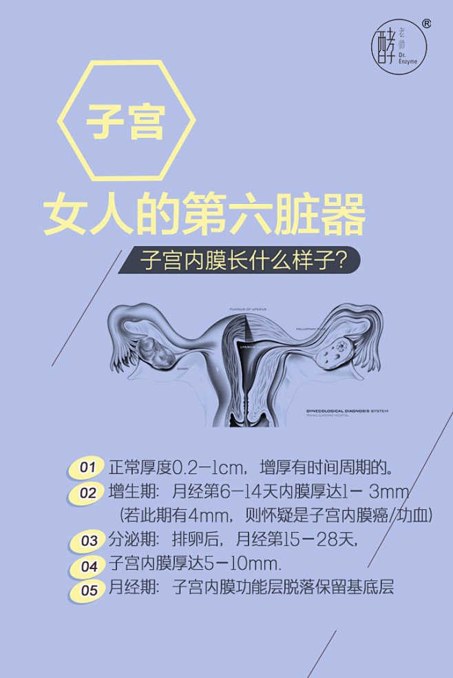 女性 子宫保养 酵老师净暖
