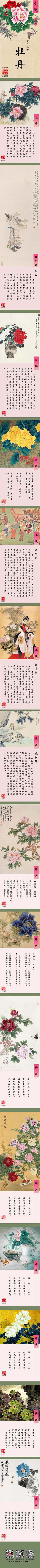 安之若狂采集到十二花神