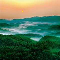 浩森Forest采集到风光