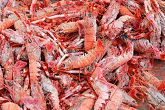 韩国食物，食物，饭菜，