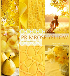一一梓采集到yellow