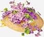 紫色草帽花篮高清素材 png 紫色 花篮 草帽 装饰 元素 免抠png 设计图片 免费下载 页面网页 平面电商 创意素材