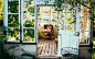 Exquisite greenhouse surrounded by sunflowers  with colorful folding chair inside