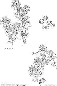 moyoyoo采集到花