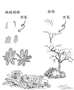 lemon190056采集到手绘素材