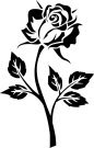 玫瑰花 抠