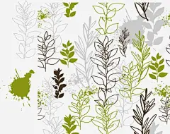 矢植物竹叶子 免费下载 页面网页 平面电商 创意素材