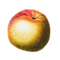 HTC_Heritage Library_An Apple A Day 04Element 5