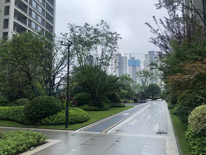 地产植物配置