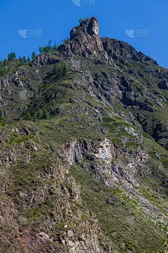 山顶上覆盖着一片绿色的森林，山脊上有树木和草地，映衬着阿尔泰清澈的蓝天。背景的壁纸，张贴或插图在社交