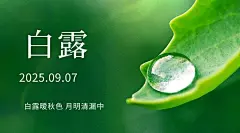 白露节气祝福露珠绿叶横版海报
