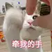 【图片】小猫咪表情包，简直可爱炸了。【吸猫吧】_百度贴吧