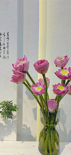 伊人浅笑醉云州采集到荷心自招惹