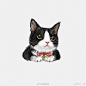 #遇见艺术##手绘插画# 投稿:@十_頁 |

iPad油画棒/奶牛猫
有人喜欢奶牛猫嘛～
猫界里的二哈 ​​​ ​​​​