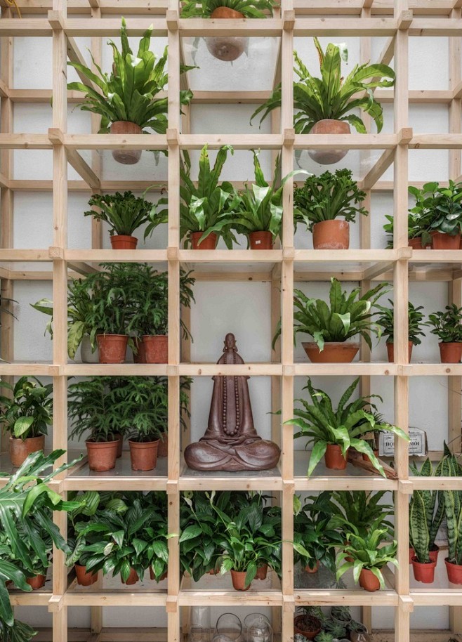 Tropical Forest 咖啡小屋...