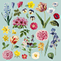 Different flowers painting set
