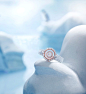 Chopard萧邦2016冬季新款圣诞节系列珠宝腕表画册_图库_资讯_中国时尚品牌网