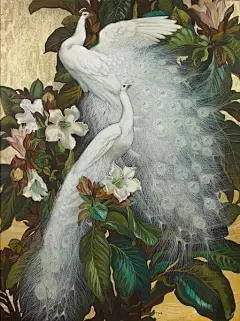 白孔雀——美国画家Jessie Arms Botke