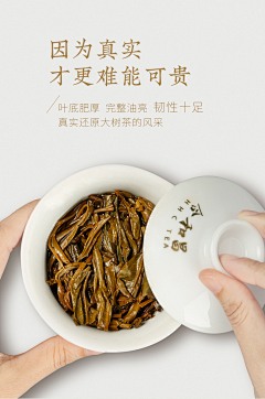 生氣的叉燒采集到普洱茶海报