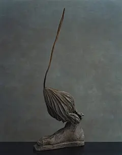 春去秋来，花随花逝，人为花伤，身生敬畏自然轮回中诉说着生命传奇。室町、镰仓时代佛具，与枯莲、朽杉、樒，随着川濑敏郎（Kawase Toshiro）花艺浮现在上田义彦（Yoshihiko Ueda）影像