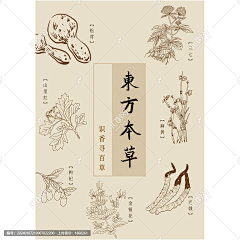 东方本草药材海报
