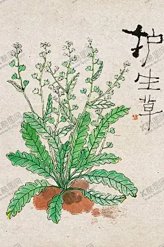 民宿画 【酷图网】中国风背景,水墨画背景,中国风展板,山水画背景,水墨画展板,山水画展板,国画,书法背景,书法展板,清新展板,国画背景,中国风素材,山水画素材,古典,风景,民宿墙画,梅花,中国元素,时尚背景,手绘花背景,小清新展板,小清新,简约背景,古风背景,民宿画,工笔画背景,手绘民宿画