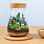 夏至苔藓微景观 创意礼物桌面绿植 DIY奇趣植物生态玻璃瓶 包邮 原创 设计 新款 2013