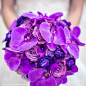 紫色手捧花 : 紫色手捧花，亮丽色彩带来无尽的时尚浪漫，常用紫色蝴蝶兰、牡丹、郁金香等花材进行制作。