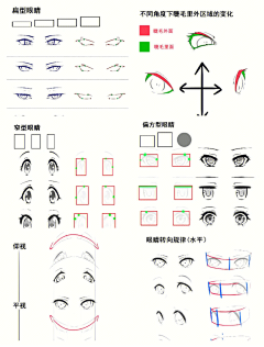 涡来守狐采集到眼