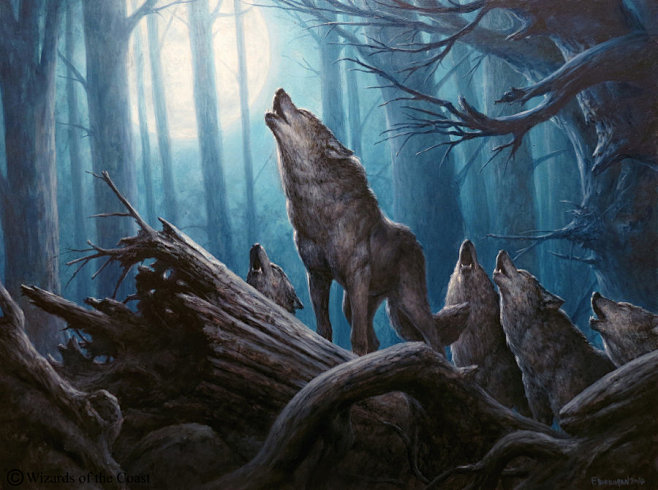 Somberwald Alpha, Fi...