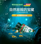 详情页-海报-鱼油-深海-胶囊-深海-海底-蓝色-金色-美国国旗-自然之宝-气泡-光效-备用Y/D