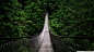 Bridge into Green by unknown artist - Social Wallpapering