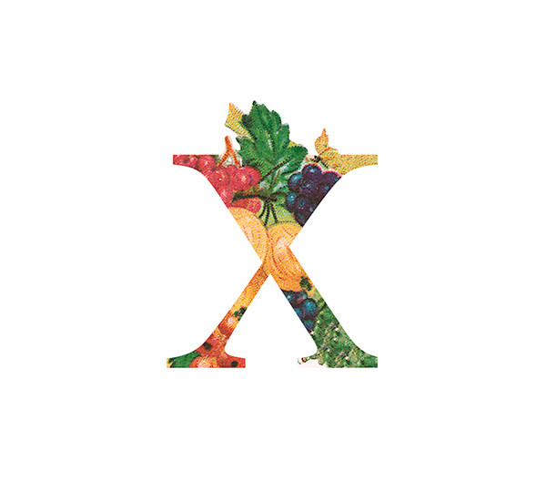 字母x #字体设计