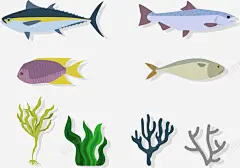 海洋生物 页面网页 平面电商 创意素材