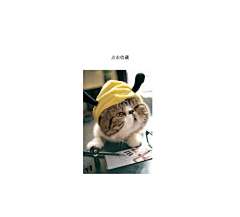 美工群264185067采集到素材