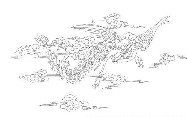 百鸟之王凤凰的高清白描线稿图临摹学画