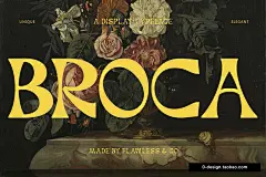 Broca潮流复古酸性逆反差波西米亚潮牌logo海报标题装饰英文字体
