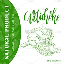 蔬菜,朝鲜蓟,动物手,农业,素食,清新,食品,沙拉,胡萝卜,绘制