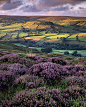 Rosedale, North Yorkshire, England