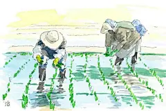 田园小清新，拿图的扣1_壁纸吧_百度贴吧