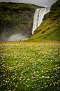 Summer in SkogarFoss Iceland