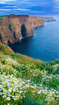 he Cliffs of Moher, Ireland: 