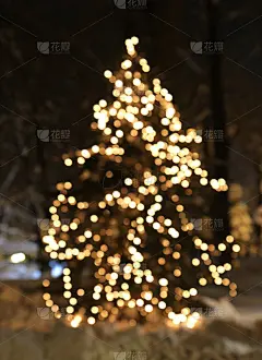 彩灯闪烁的圣诞树