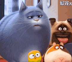 #0802爱宠大机密# 私藏冰冰专场表情包再来一发 转圈的冰冰、搞破坏的冰冰，与玩具鼠玩耍的冰冰，完美诠释了冰冰的高贵冷艳，而惊讶的冰冰、吐舌的冰冰、偷吃的冰冰，又将冰冰的呆萌气质展露无疑，简直是一个集才华与美貌于一身的女子呀~不过，冰冰面对美食想吃不敢吃的状态，是不是现在减肥的你...展开全文c