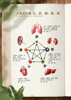 草木三心Endless采集到招商