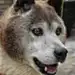 OwuF8_小云